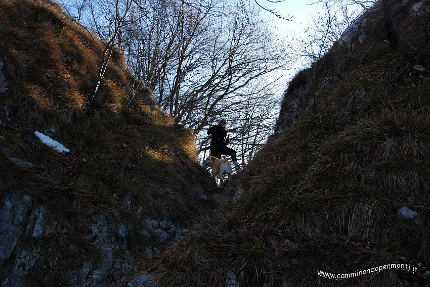 09 14238 Passo Sappli.JPG